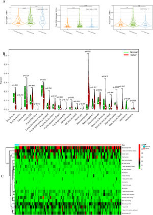 Associations between EPHX4 gene and immune cell infiltration levels. (A) Heatmaps and violin plots showed the differences in the immune cell distribution between malignant (red) and normal (blue) tissue in laryngeal cancer cohorts. (B) The bar chart summarized the percentage of 22 infiltrated immune cells from laryngeal cancer and normal tissues.