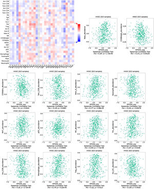 Correlation between EPHX4 expression levels and immune cell subsets. The red and black asterisks in the correlation heatmap indicated various immune cell types significantly associated with EPHX4 expression levels in laryngeal cancer cohorts. The dot plots showed the correlations between EPHX4 expression levels and immune cell subsets in laryngeal cancer cohorts.