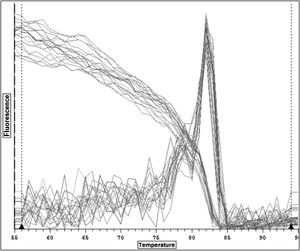 A visual representation of the melting curve is provided. The peak at 83 °C indicates the high quality of NKX2-1 gene amplification. The absence of an additional peak suggests a lack of by-products during RNA amplification.