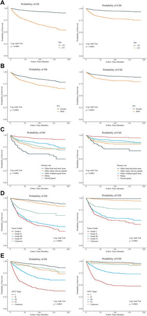 Kaplan-Meier (KM) curves of OS and CSS in patients with head and neck MEC. (A) age subgroups; (B) sex subgroups; (C) tumor primary site subgroups; (D) tumor grade subgroups; (E) AJCC stage subgroups. OS, Overall Survival; CSS, Cancer-Specific Survival; MEC, Mucoepidermoid Carcinoma.