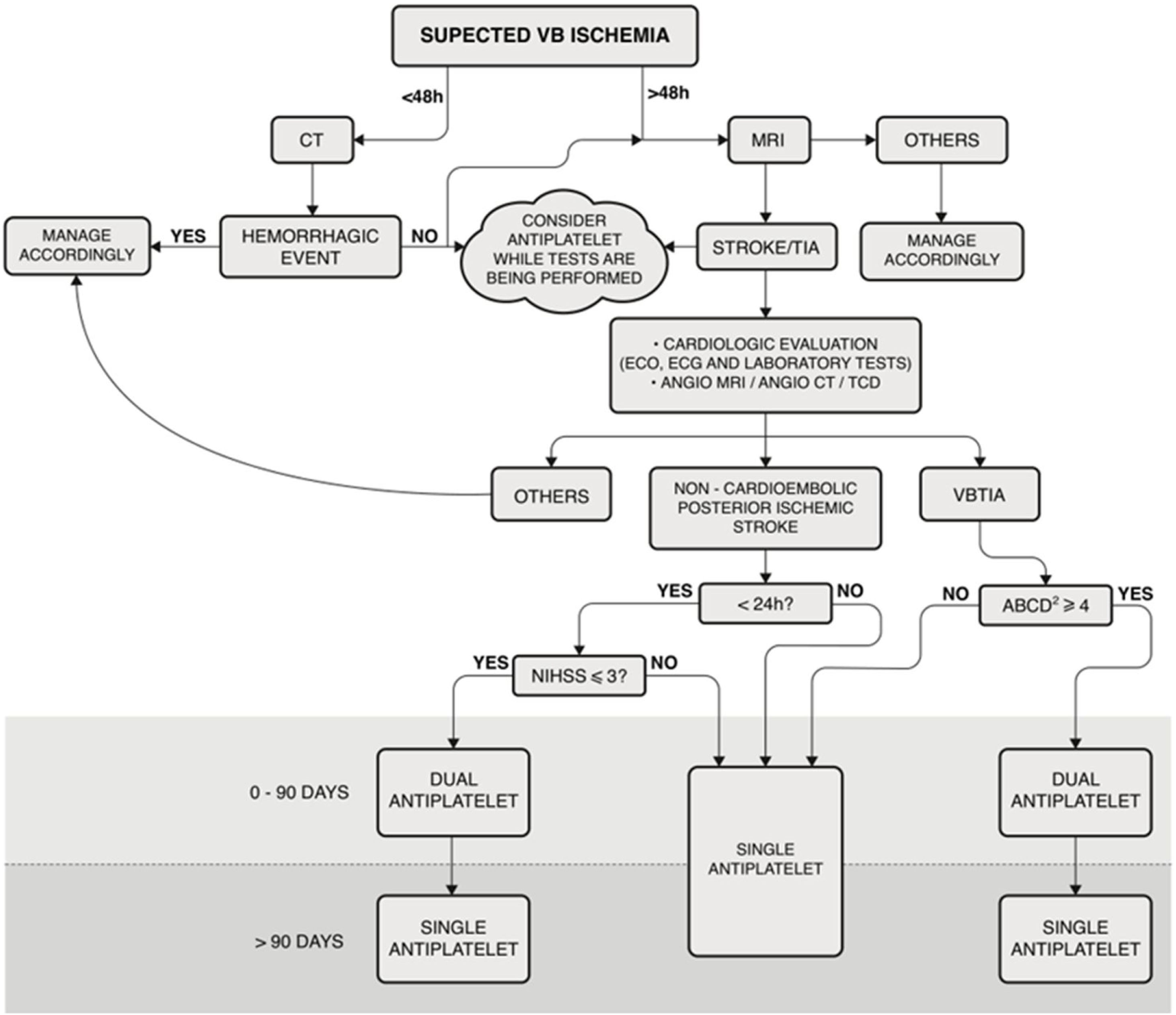 Dizziness Em Algorithm Vascular vertigo and dizziness: managing and treating outpatients ...