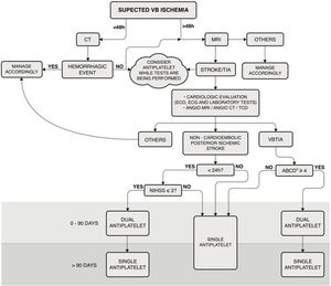 Vascular vertigo and dizziness: managing and treating outpatients ...