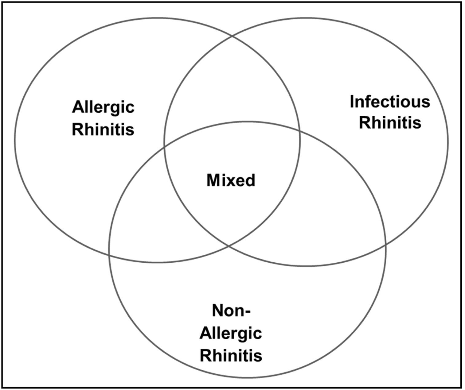 V Brazilian Consensus on Rhinitis – 2024 | Brazilian Journal of ...