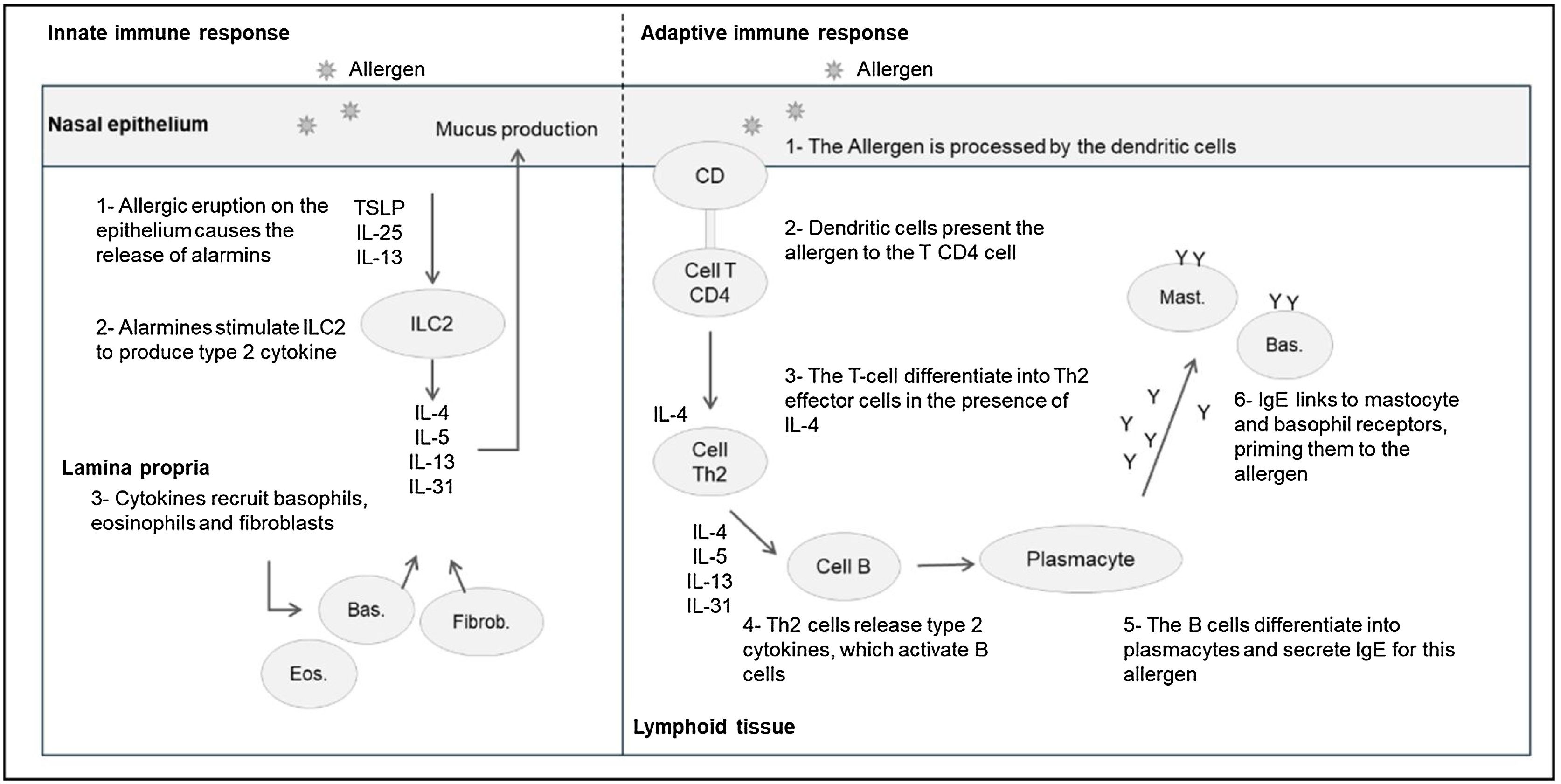 fig0005
