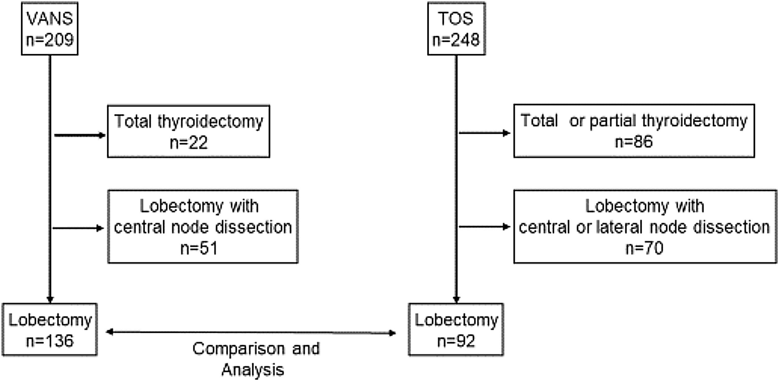 fig0025