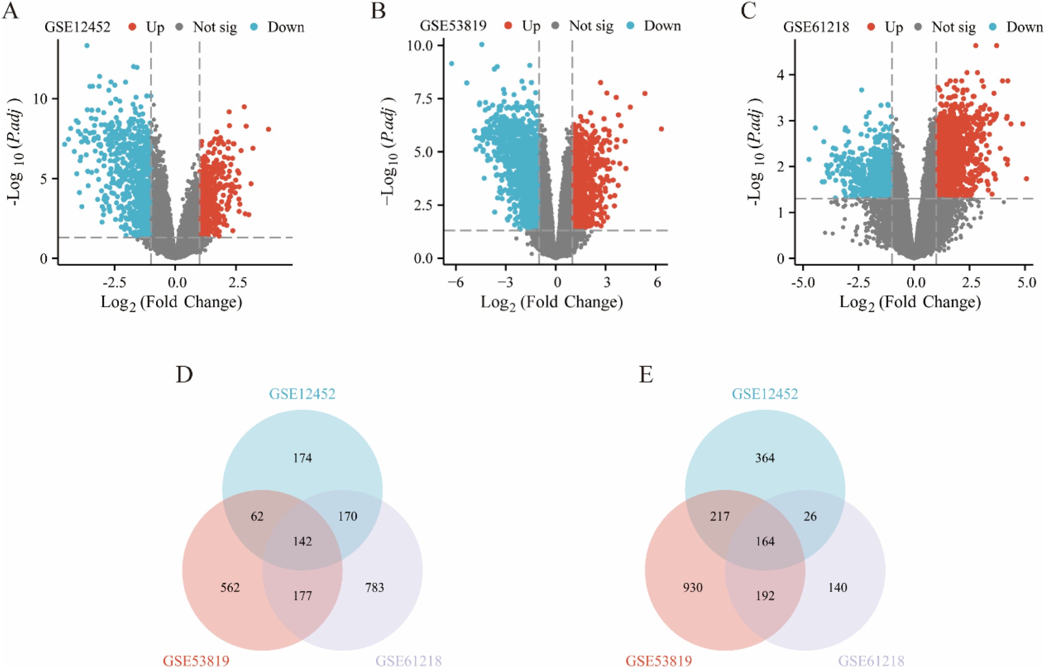 Identification of key hub genes and potential therapeutic drugs