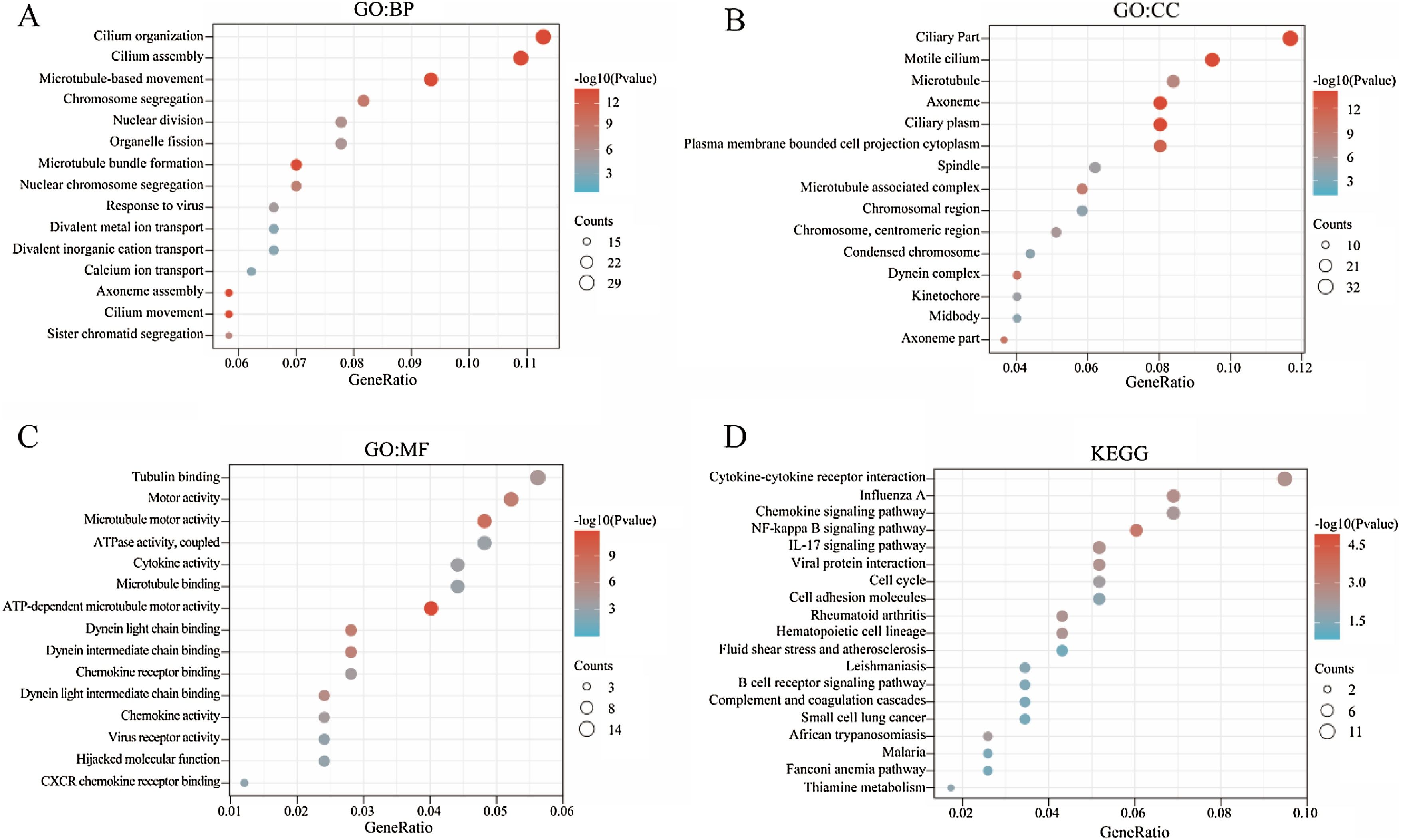 Identification of key hub genes and potential therapeutic drugs for ...
