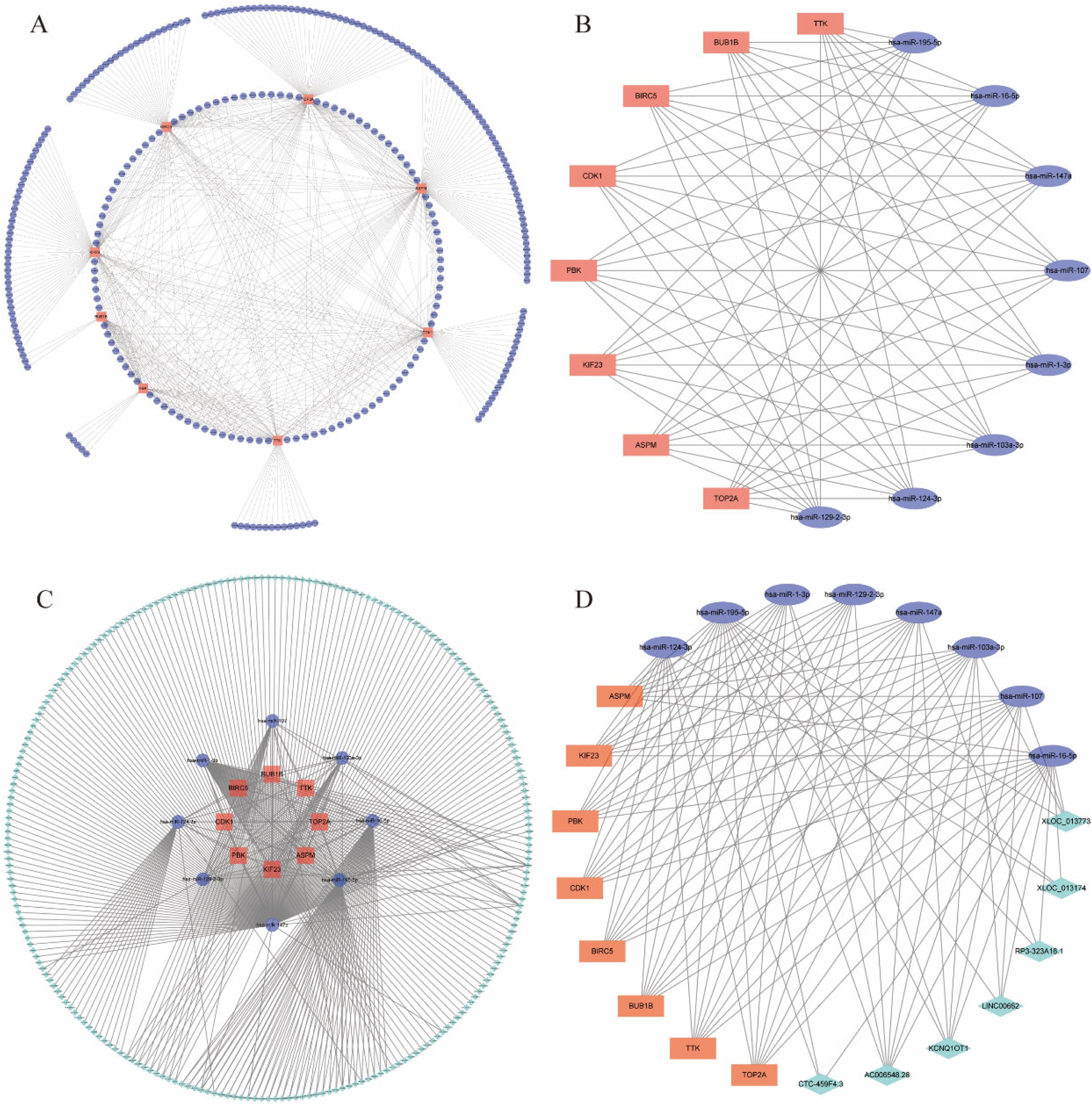 Identification of key hub genes and potential therapeutic drugs