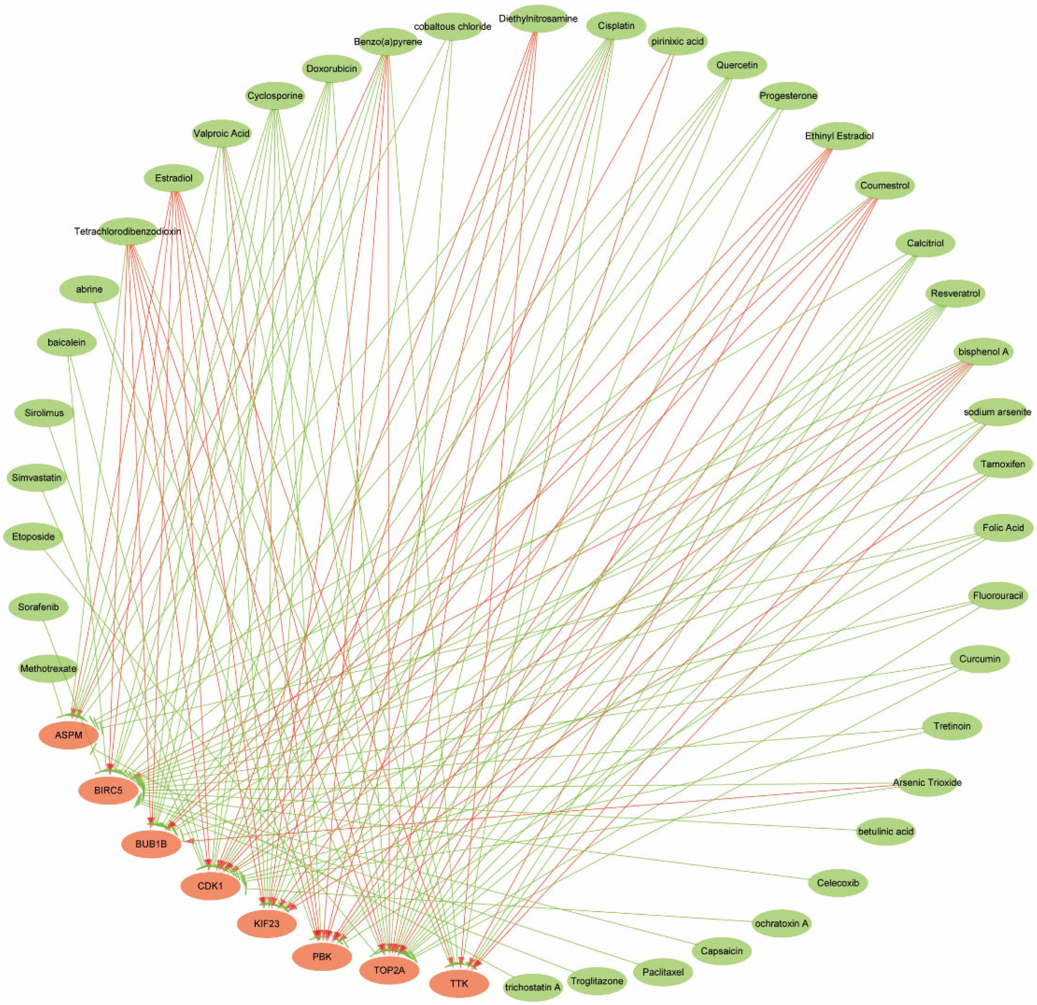 Identification of key hub genes and potential therapeutic drugs