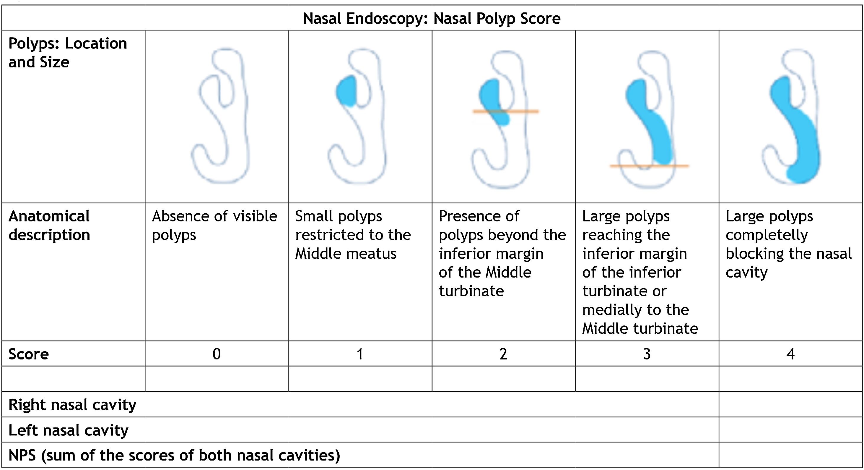 Rhinosinusitis: Evidence and experience – 2024 | Brazilian Journal of ...