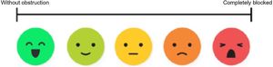 Visual Analogue scale in “ruler” and “emojis”.