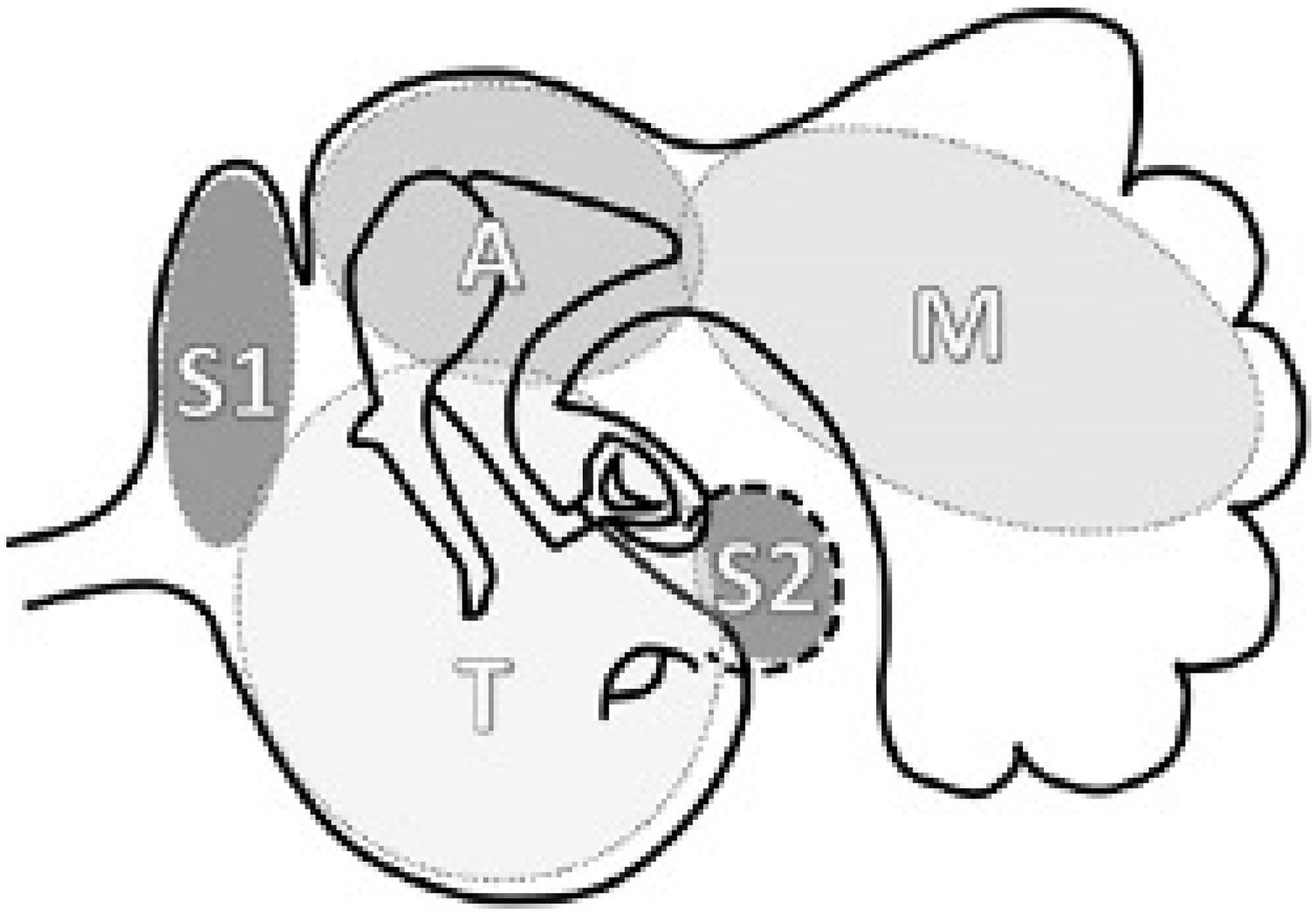 fig0005