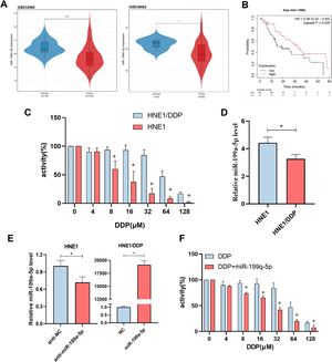 miR-199a-5p is differentially expressed in NPC and regulates cisplatin resistance. (A) The GSE32960 and GSE36682 datasets showed the expression of miR-199a-5p in NPC and normal tissues. (B) Overall survival of patients with different levels of miR-199a-5p was studied by Kaplan-Meier curve. (C) Study on the activity of two kinds of nasopharyngeal carcinoma cells under different DDP concentrations. (D) Expression of miR-199a-5p in two NPC cells. (E) The miR-199a-5p levels in the transfected cells were detected by RT-qPCR. (F) Regulation of HNE1/DDP cisplatin sensitivity by miR-199a-5p. Data are means ± SD, * p < 0.05.