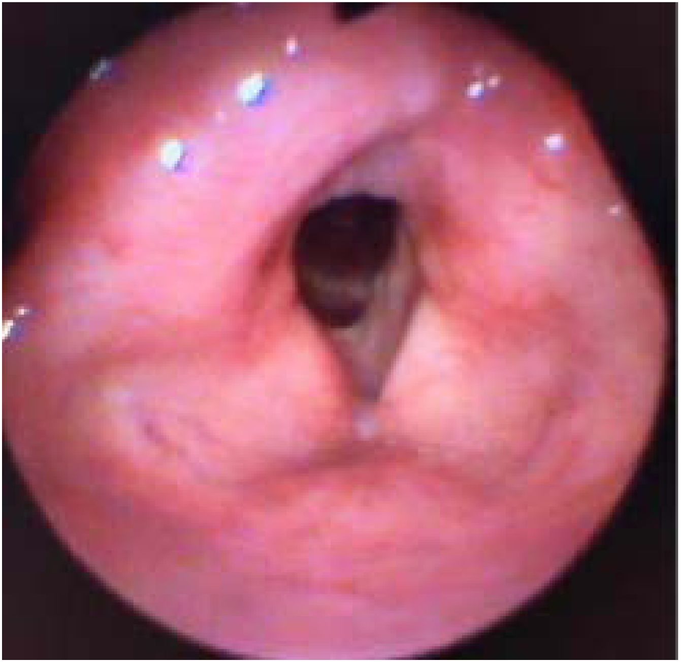 fig0015