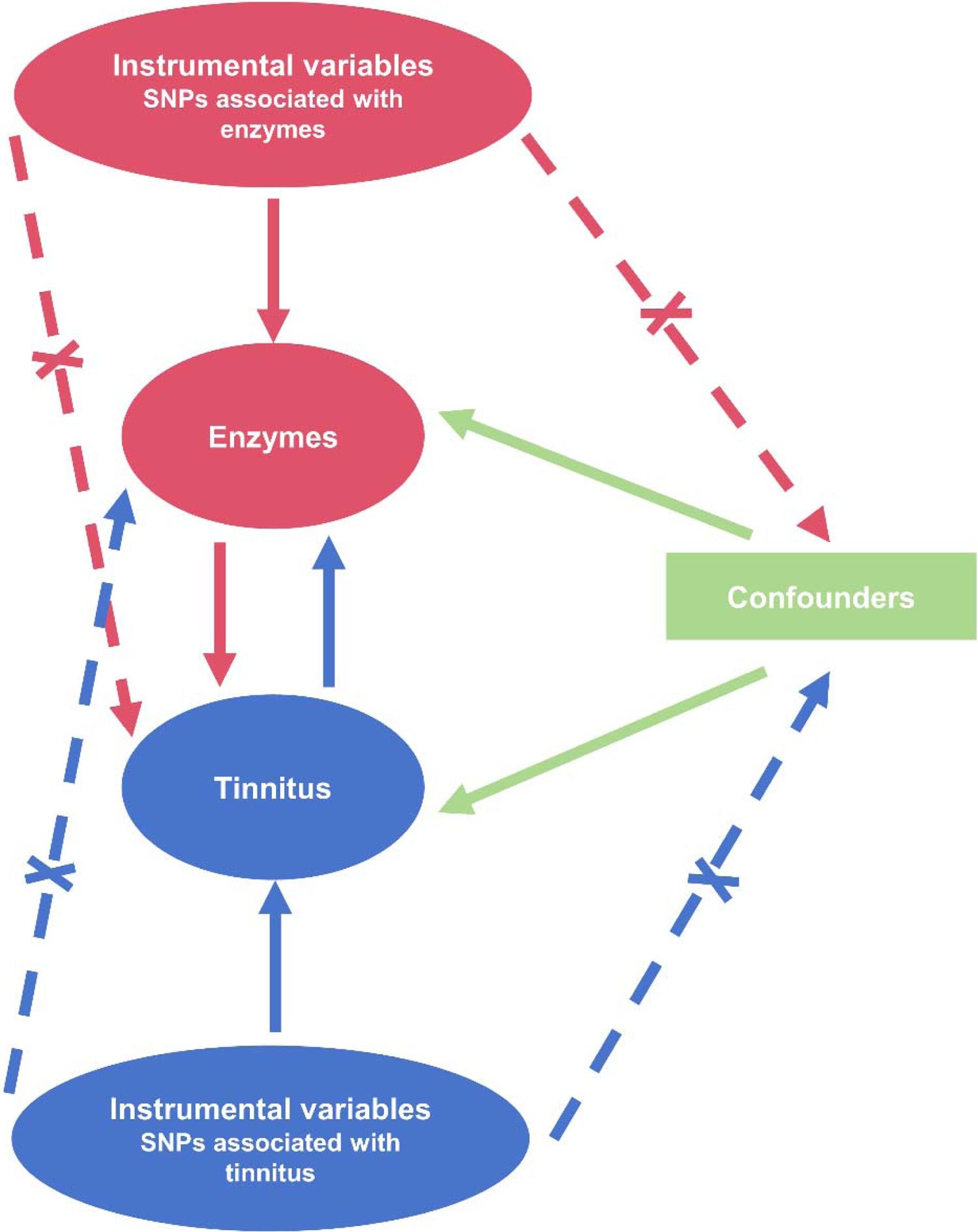 glutathione tinnitus Causal relationship between genetically predicted Enzyme and risk: a two-sample bi-directional mendelian randomization study essential nutrition co bpc
