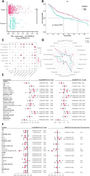 Correlation between CD40LG and clinical features. (A) Expression of CD40LG in normal as well as tumor tissues. (B) Correlation between CD40LG expression level and OS. (C) The correlation between CD40LG expression and HNSCC clinical features. (D) CD40LG expression as well as distribution in 23 different types of immune cells. (E) Univariate and Multivariate analysis. (F) Subgroup and interaction analysis. (no significance, p ≥ 0.05; * p < 0.05; ** p < 0.01, *** p < 0.001.).