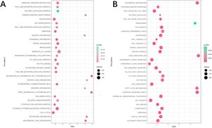 Analysis of the DEGs related to CD40LG expression. (A) KEGG enrichment analysis. (B) Hallmark enrichment analysis.
