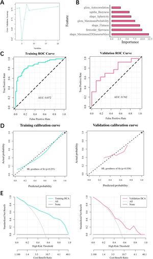 Radiomics model’s construction and evaluation. (A) Radiomics features selection. (B) The importance of radiomics features in GBM algorithm. (C) ROC curve analysis. (D) Calibration curve analysis. (E) Hosmer-Lemeshow test (no significance, p ≥ 0.05; * p < 0.05; ** p < 0.01, *** p < 0.001.).