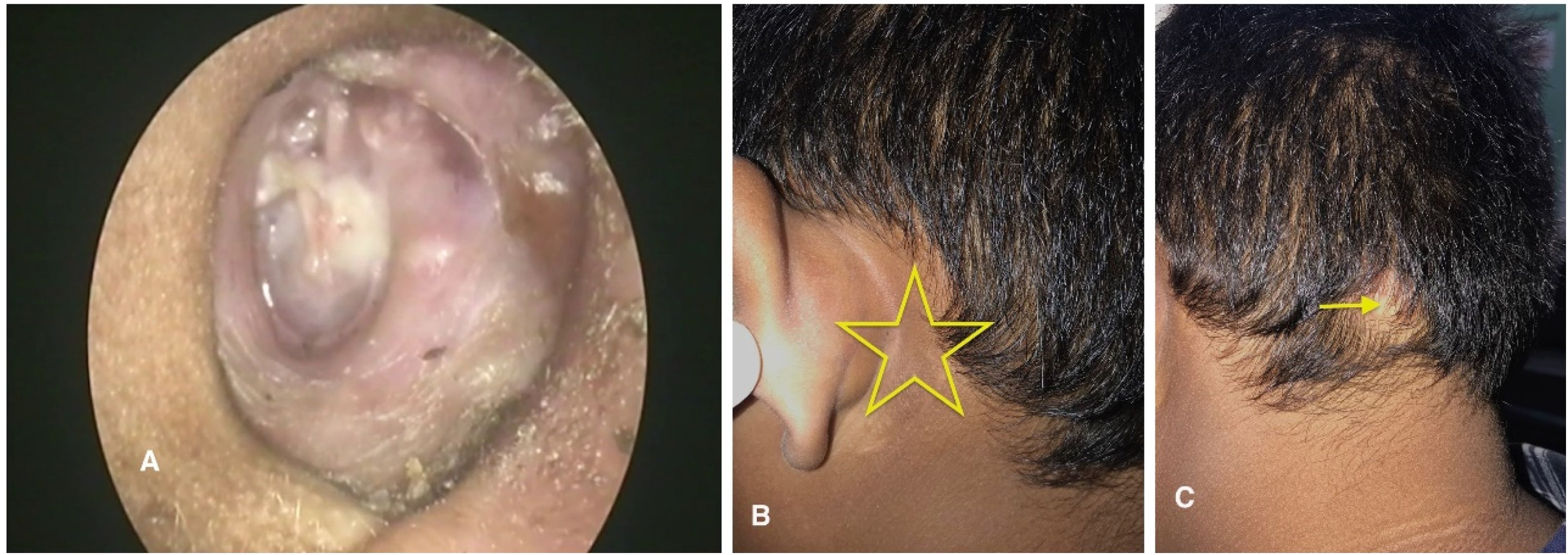 fig0025