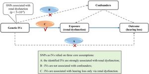 Assumptions and study design flowchart of the MR study. The MR method is based on three core assumptions: (A) The identified IVs are strongly associated with renal dysfunction; (B) IVs are not associated with confounders; (C) IVs are associated with hearing loss only via renal dysfunction. MR, Mendelian Randomization; SNP, Single-Nucleotide Polymorphism; IVs, Instrumental Variables.