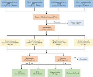 Flow chart of the Mendelian randomization analysis. MR, Mendelian Randomization; SNP, Single‐Nucleotide Polymorphism; IV, Instrumental Variable; GWAS, Genome-Wide Association Study; eGFR-crea, estimated Glomerular Filtration Rate based on creatinine; eGFR-cys, estimated Glomerular Filtration Rate based on serum cystatin C; UACR, Urine Albumin-to-Creatinine Ratio; IVW, Inverse-Variance Weighted.