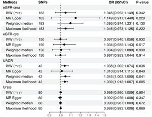 Forest plot which visualizes the MR analyses between renal function and hearing loss. OR represent a genetically determined 1 unit increase of ln(eGFR-crea), 1 unit increase of ln(eGFR-cys), 1 unit increase of ln(UACR), and 1 unit increase in the odds of urate, respectively (renal dysfunction as exposure) with the odds of hearing loss. Alternatively, the OR represent a genetically determined 1 unit increase in the odds of hearing loss. eGFR-crea, estimated Glomerular Filtration Rate based on creatinine; eGFR-cys, estimated Glomerular Filtration Rate based on serum cystatin C; UACR, Urine Albumin-to-Creatinine Ratio; IVW, Inverse-Variance Weighted, MR, Mendelian Randomization; SNPs, Single-Nucleotide Polymorphisms; OR, Odds Ratio; CI, Confidence Interval.