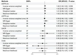 Forest plots illustrated the causal associations between hearing loss and renal function using various methods. eGFR-crea, estimated Glomerular Filtration Rate based on creatinine; eGFR-cys, estimated Glomerular Filtration Rate based on serum cystatin C; UACR, Urine Albumin-to-Creatinine Ratio; IVW, Inverse-Variance Weighted, MR, Mendelian Randomization; SNPs, Single-Nucleotide Polymorphisms; OR, Odds Ratio; CI, Confidence Interval.