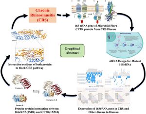 Illustrate the graphical abstract to follow methodology to Identification of stress-induced miRNA of microbial flora, networking, expression with chronic sinusitis.