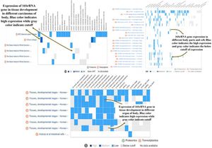 Illustrate the expression of 16SrRNA gene in different carcinomas, regions of the body and genome state of the body, blue color indicates the rich expression while gray color indicated the cutoff expression of gene.