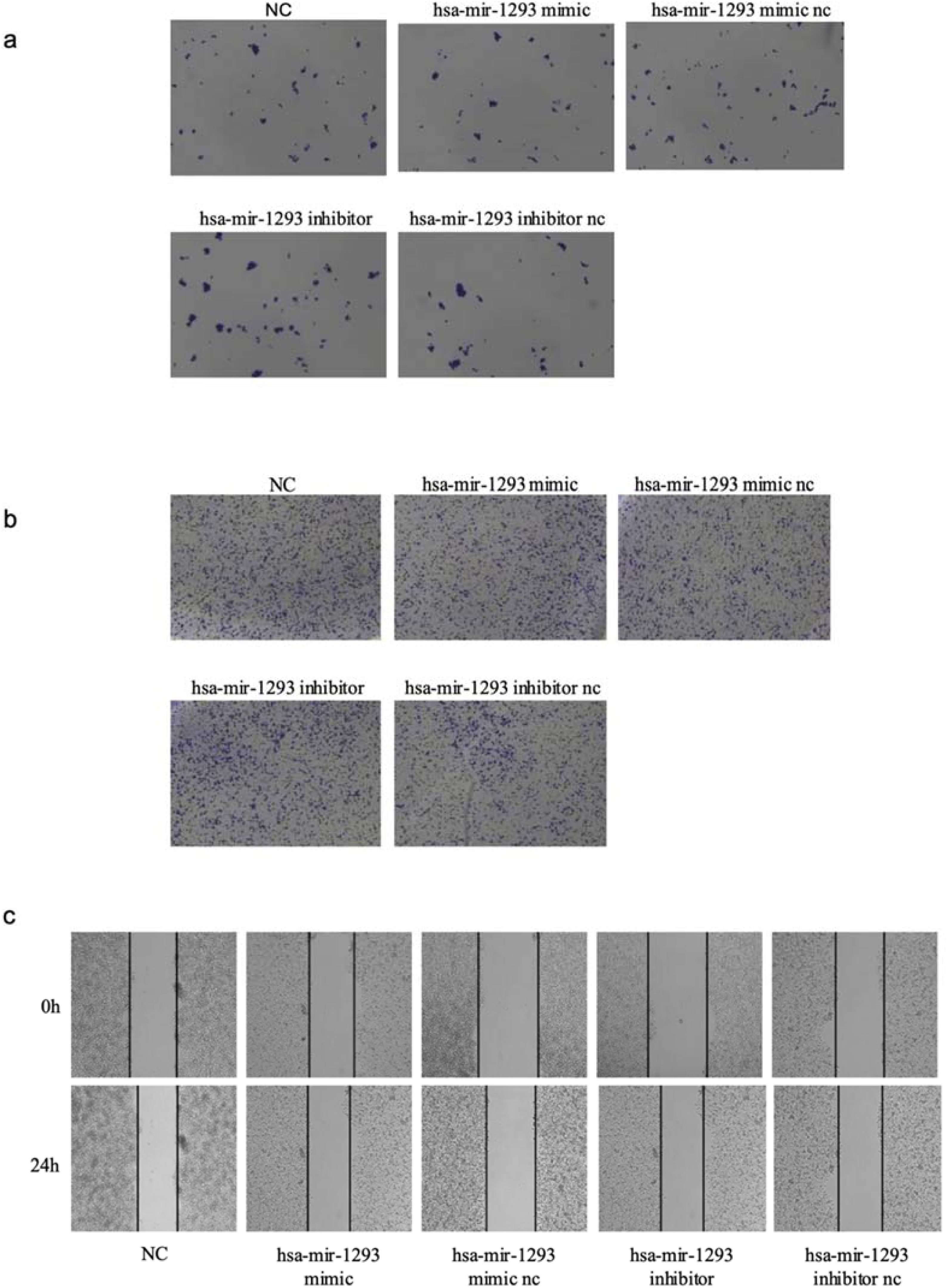 fig0010