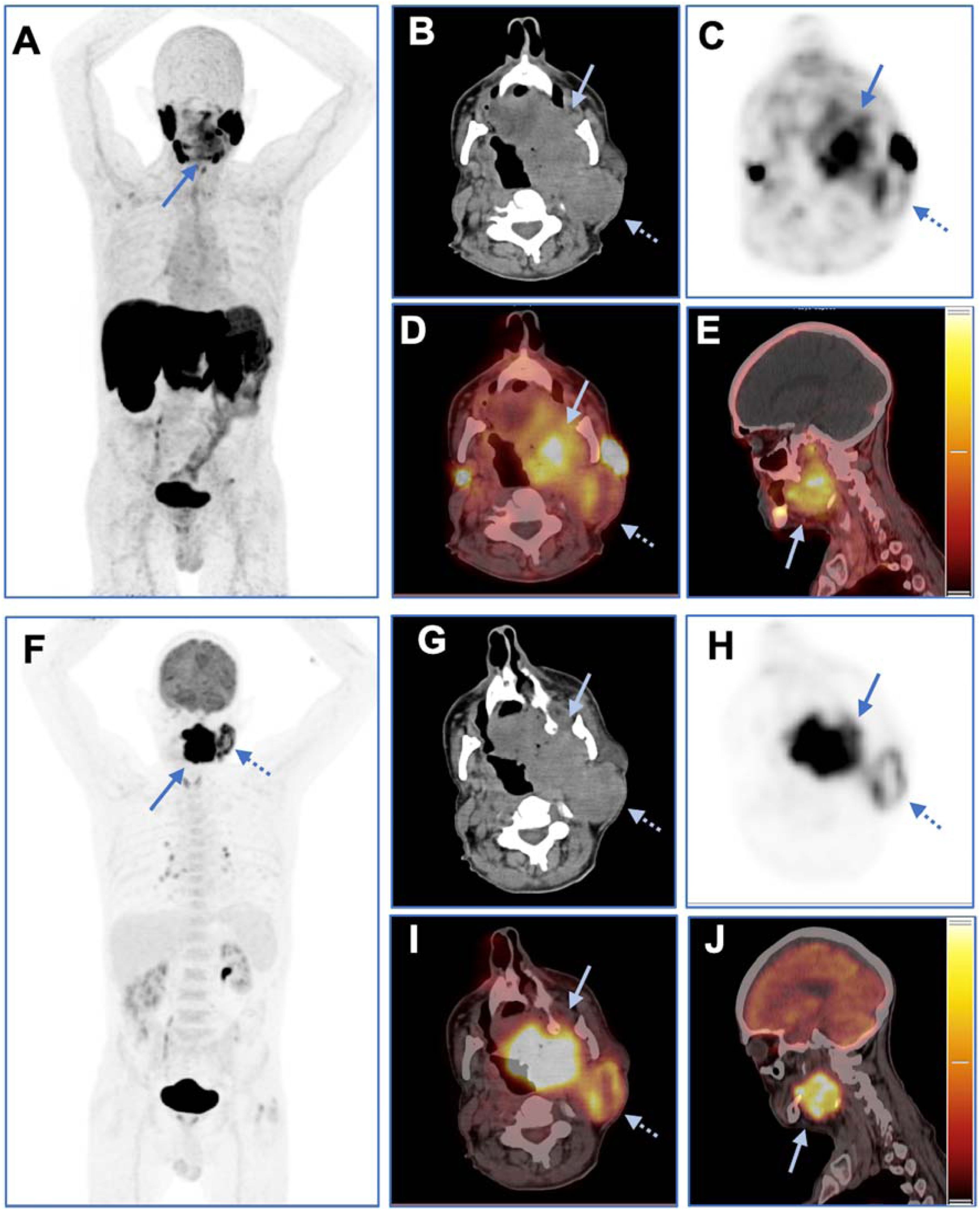 fig0005