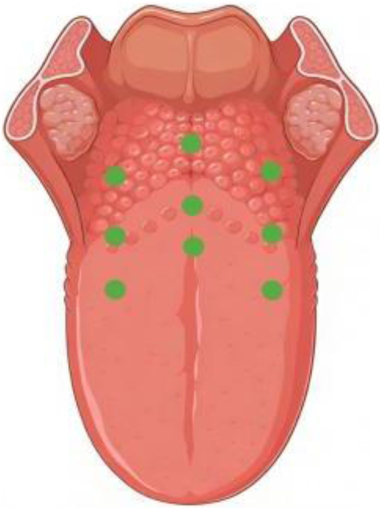 fig0010