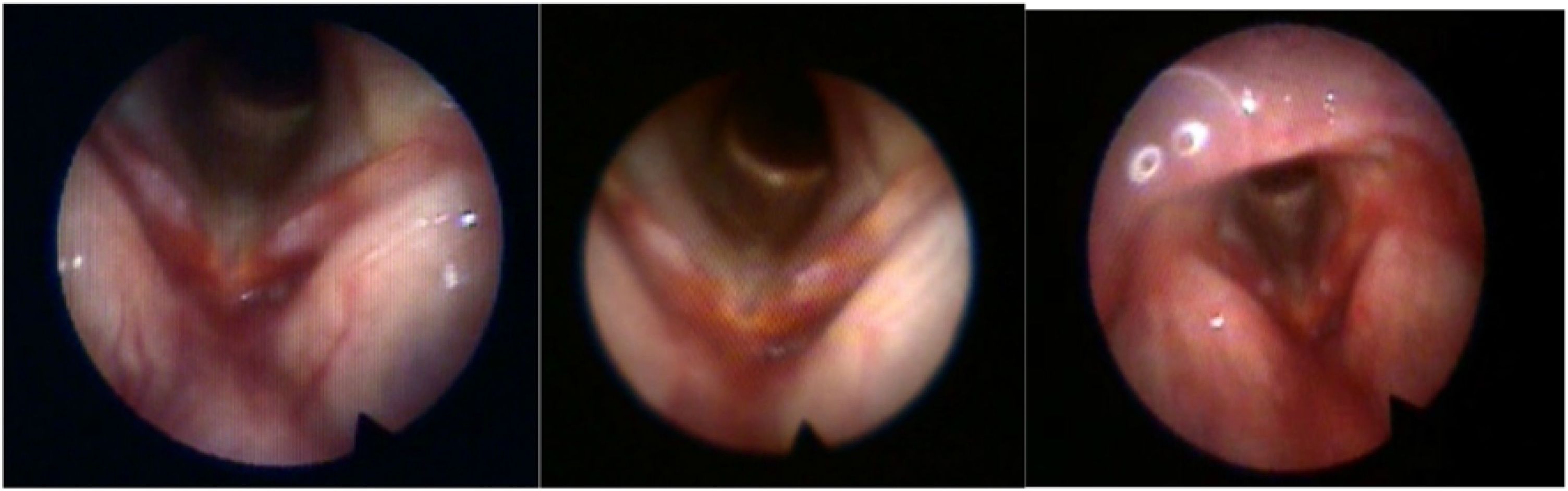 fig0010