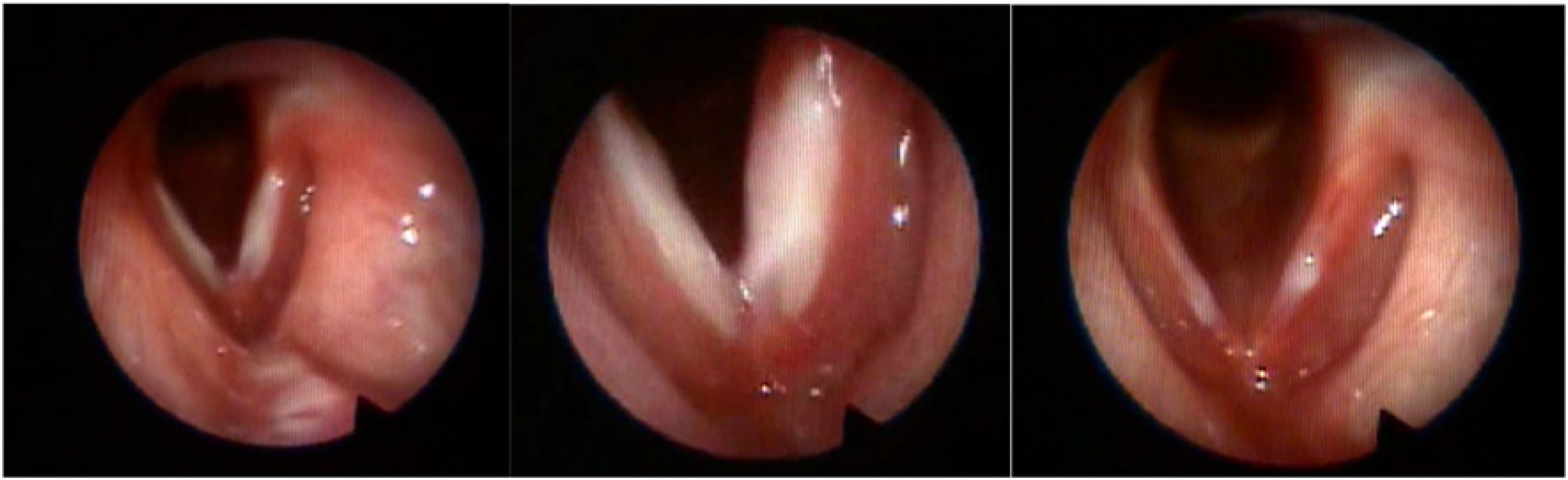fig0020