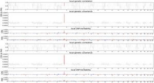 Local genetic correlation between CRS and PAS/PAD. Manhattan plots showed the estimates of local genetic correlation and local genetic covariance between CRS & PAS (upper three panels) and CRS & PAD (lower three panels), as well as local SNP-heritability of CRS and PAS (middle upper panels) and CRS and PAD (middle lower panels). Red bars indicate genomic regions significant after Bonferroni correctio (p = 1.50 × 10−5) for CRS & PAS; p = 2.52 × 10−5 and 1.18 × 10−5) for CRS & PAD.