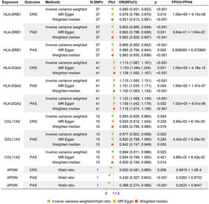 Mendelian randomization analysis assessing causal effects of genetically predicted gene expression (eQTLs) on CRS and PAD/PAS. The figure presents results the causal relationships between expression Quantitative Trait Loci (eQTLs) for four genes (HLA-DRB1, HLA-DQA2, COL11A2, APOM) and three diseases (CRS, PAD, PAS). Results for four genes and three diseases are shown, with Odds Ratios (ORs) from IVW, MR-Egger, and weighted median methods. The rightmost column shows posterior probabilities (PPH3 + PPH4) from Bayesian colocalization analysis. For APOM, the Wald ratio estimate is presented.