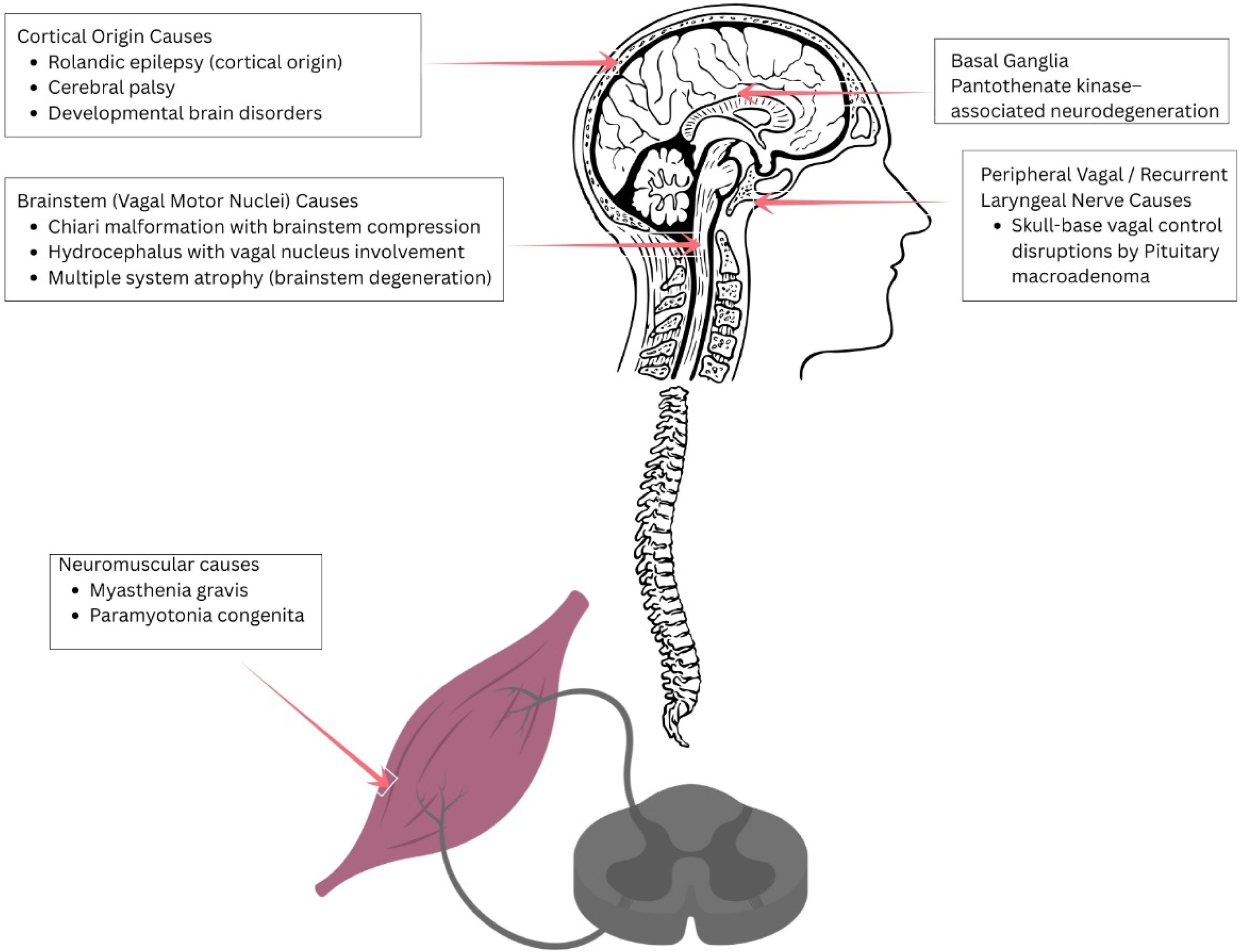 fig0020