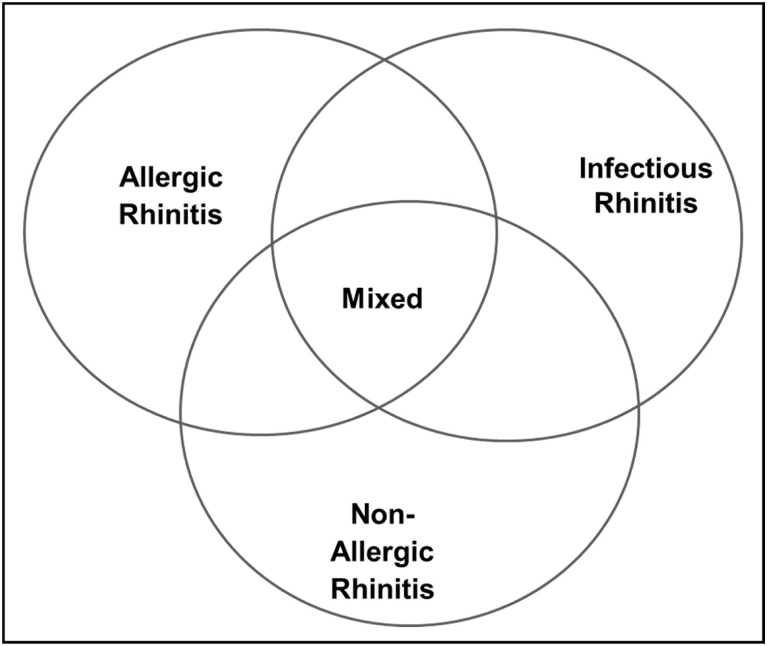 V Brazilian Consensus on Rhinitis 2024 Brazilian Journal of  