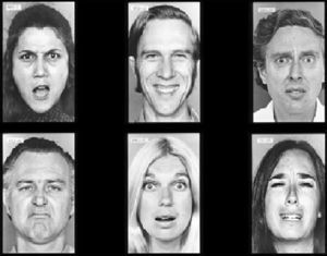 Tarea selección para la evaluación del reconocimiento facial de emociones básicas.