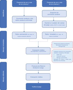 Protocolo para la Evaluación y el Manejo de las Conmociones Cerebrales asociadas al Deporte. El siguiente flujograma de recomendaciones tiene como objetivo proporcionar información sobre cómo identificar la conmoción cerebral asociada al deporte y sobre cómo se debe manejar desde el momento de la lesión hasta el regreso seguro al juego.