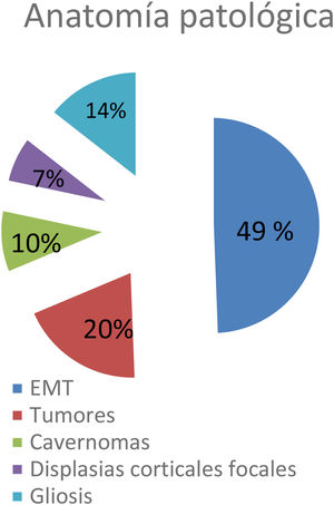 Hallazgos de anatomía patológica: 20 (49%) esclerosis mesiales temporales (EMT), 8 (20%) tumores, 4 (10%) cavernomas, 3 (7%) displasias corticales focales, 6 (14%) gliosis.