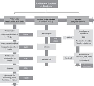 Algoritmo propuesto para la valoración de pacientes con alteración crónica de la conciencia en el contexto de rehabilitación. EEG: electroencefalograma; PET: tomografía por emisión de positrones; RMN: resonancia magnética nuclear.