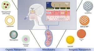 Schematic illustration of various nanoparticles-based theragnostic-related NDs for mitochondrial dysfunction. Reproduced with permission.