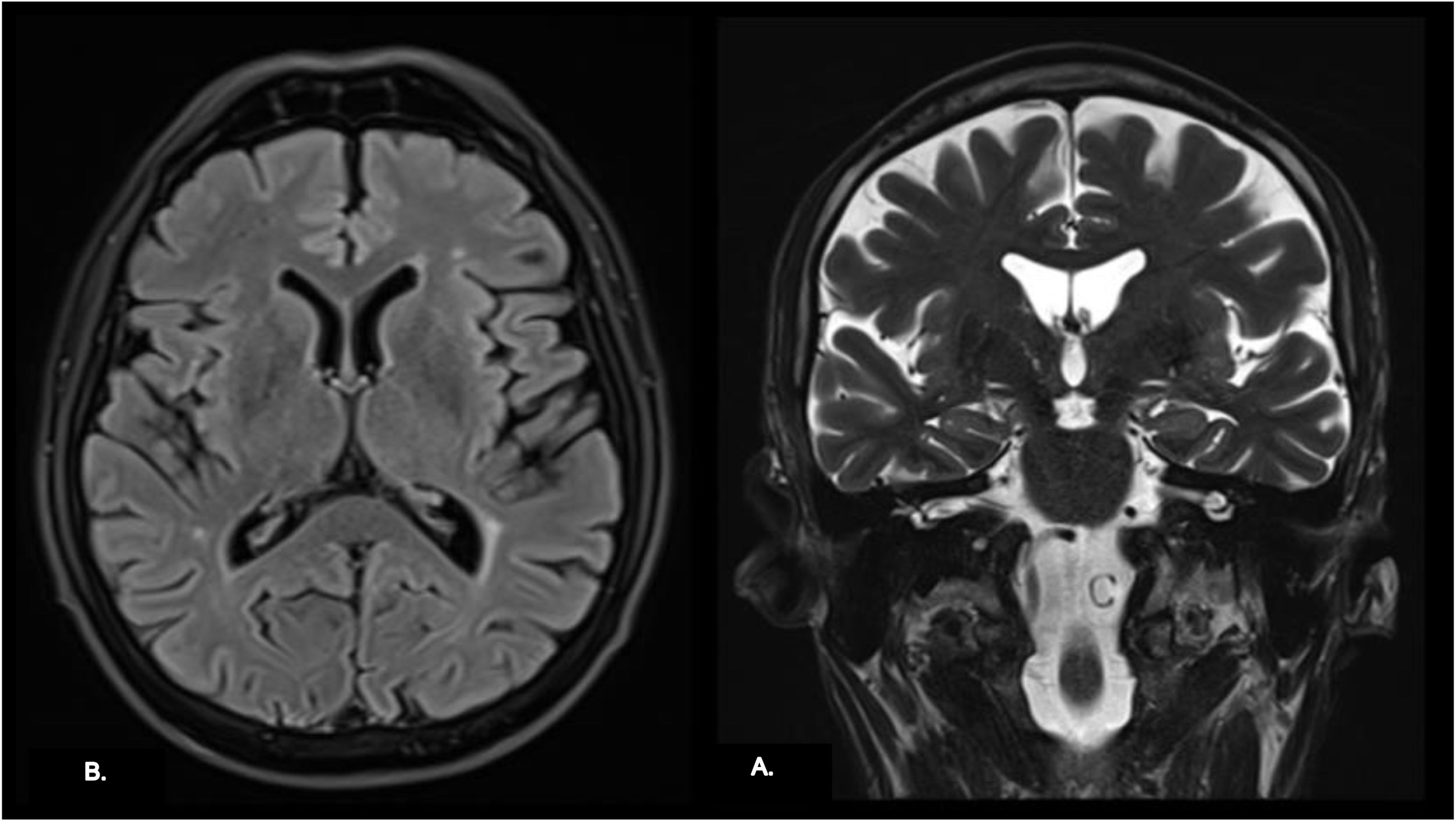 fig0005