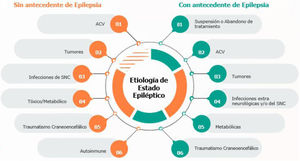 Etiologías del estado epiléptico.