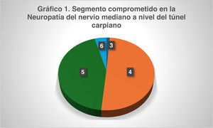 Segmento comprometido en la neuropatía del nervio mediano a nivel del túnel carpiano. Registro de procedimientos electrodiagnósticos del Servicio de Neurología del Hospital Nacional Hipólito Unanue. 2022-2023.