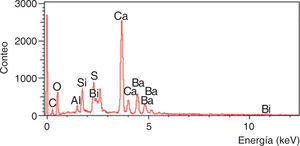 Los componentes químicos detectados en el MTA CPM® son Ca, Si, O, C, Mg, Al, S, Bi y Ba.
