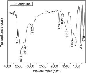 Infrared spectroscopy of Biodentine sample.