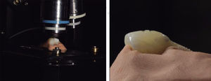 Placement of specimens on Raman spectrometer. Left panel shows 50x magnifying lens used in the microscope to locate the laser beam on the specimen. Right panel shows adhesion of plastic clay molding paste to the specimen.