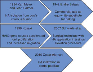 Línea del tiempo del descubrimiento del AH.